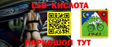 Альфа ПВП Будённовск