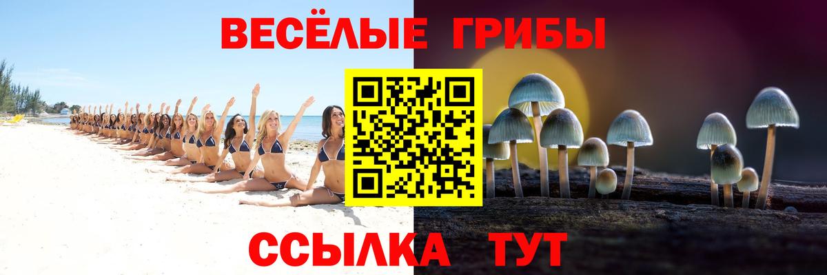 Пятигорск  Галлюциногенные грибы прущие грибы  Вход с VPN 
