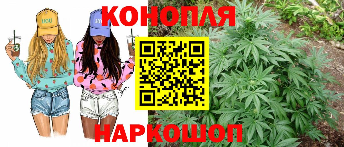 Бошки Шишки гибрид  Вход с VPN  Марихуана семена  Пятигорск 
